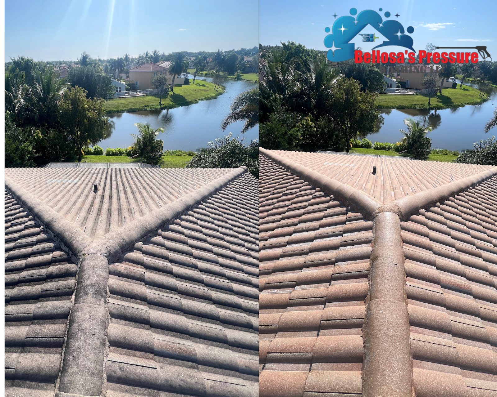 Roof Soft Washing